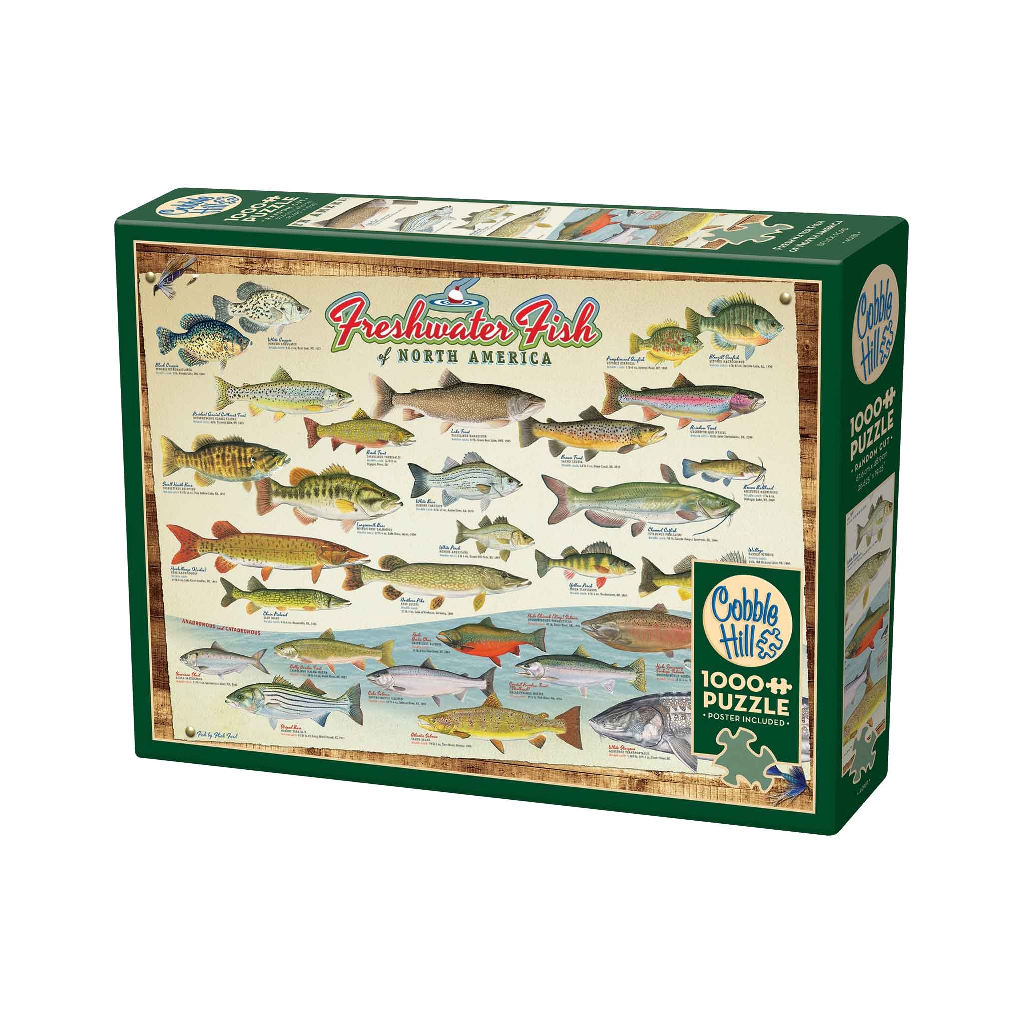 Le casse-tête des poissons d'eau douce d'Amérique du Nord