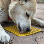 Tapis de léchage enrichi Emat à motif nid d'abeille