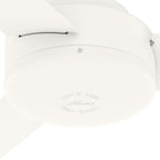 Pergola extérieure en acier de 3 m x 4 m, tonnelle avec trous de drainage pour terrasse, piscine et jardin.