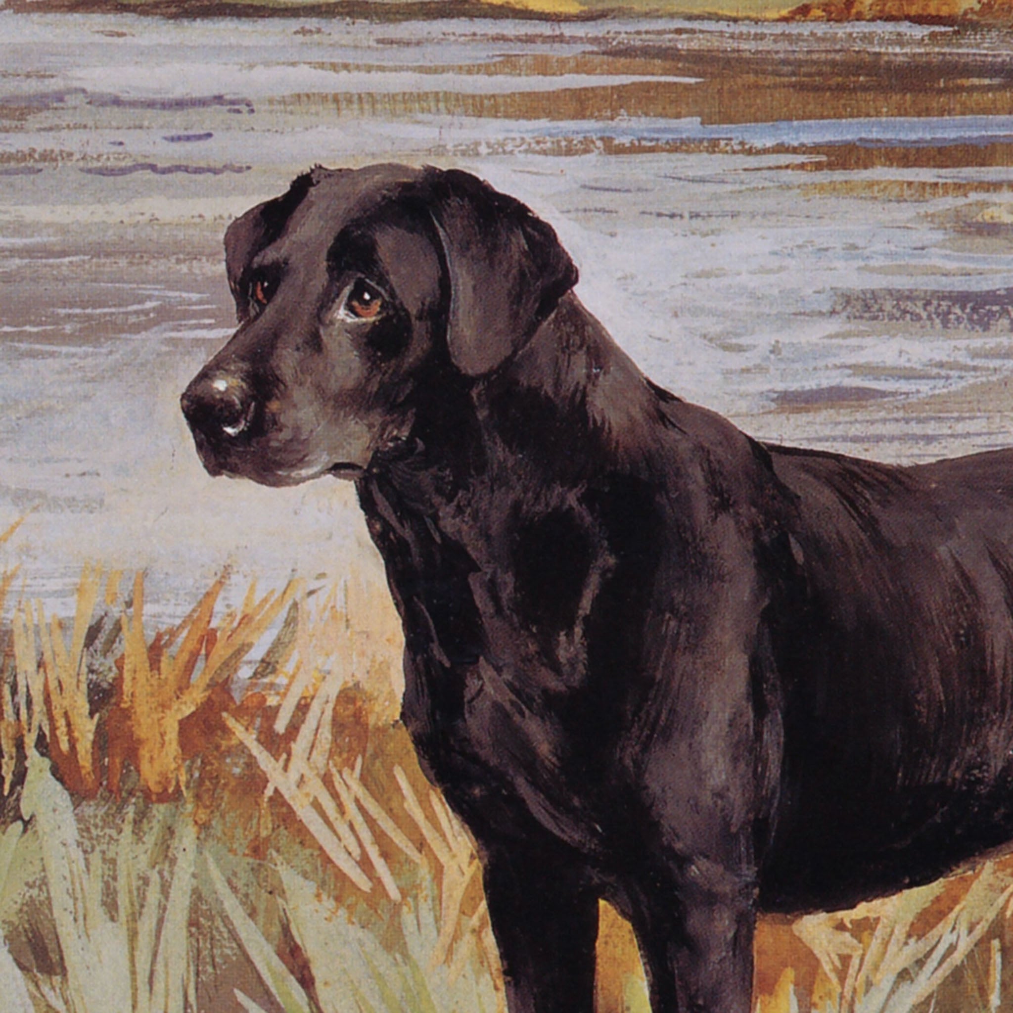 Peinture à l'huile représentant un labrador retriever avec un canard