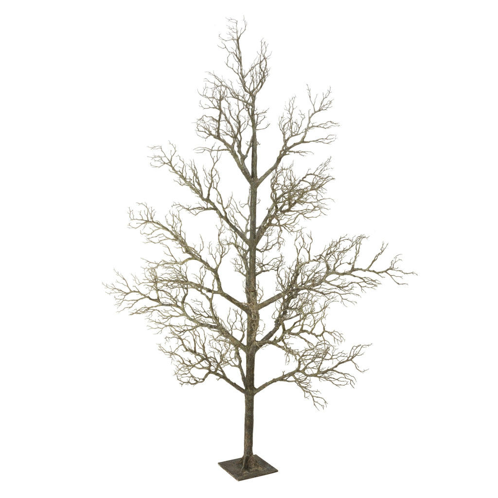 96 brindilles d'arbre mort