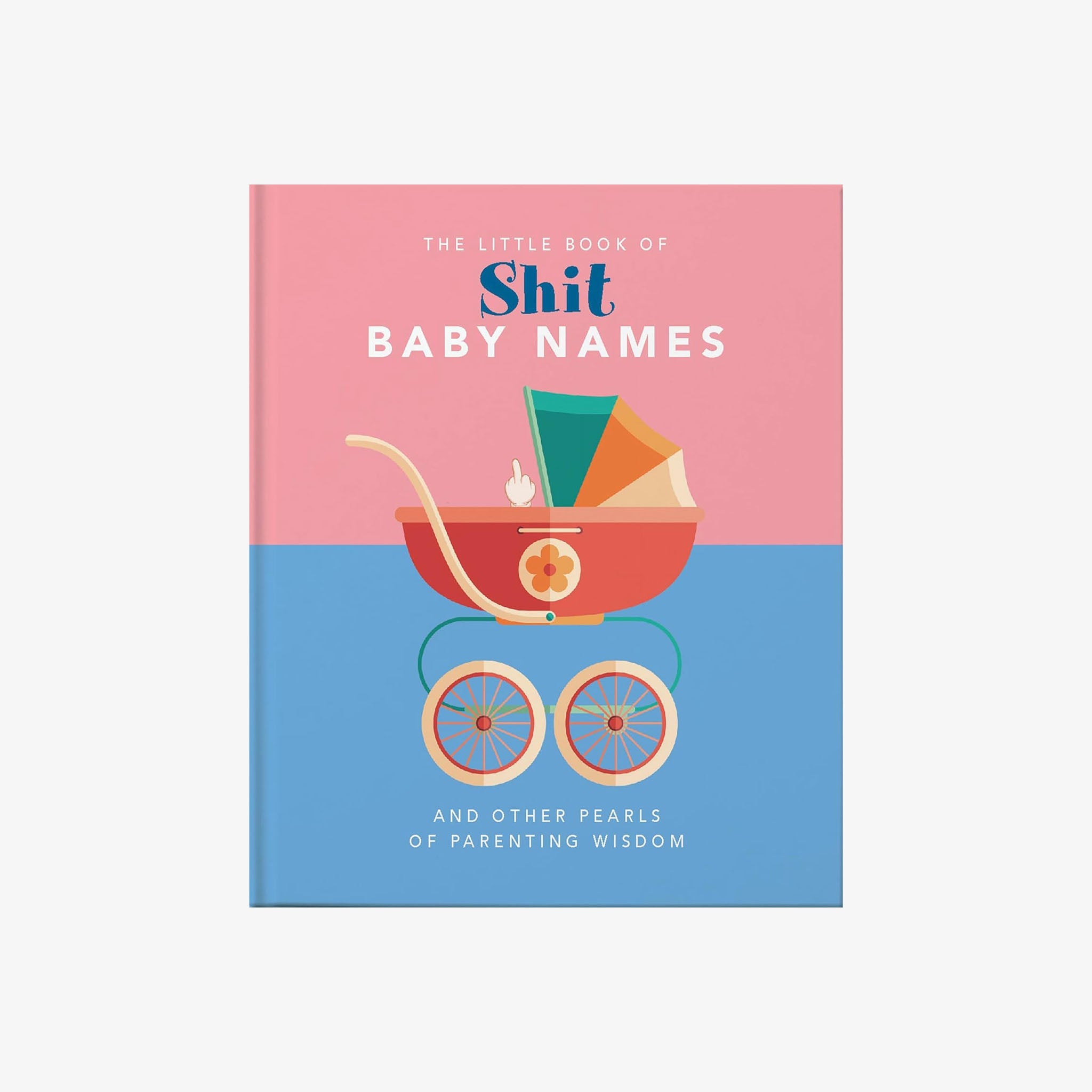 Petit livre des prénoms de bébé nuls : et autres perles de sagesse parentale