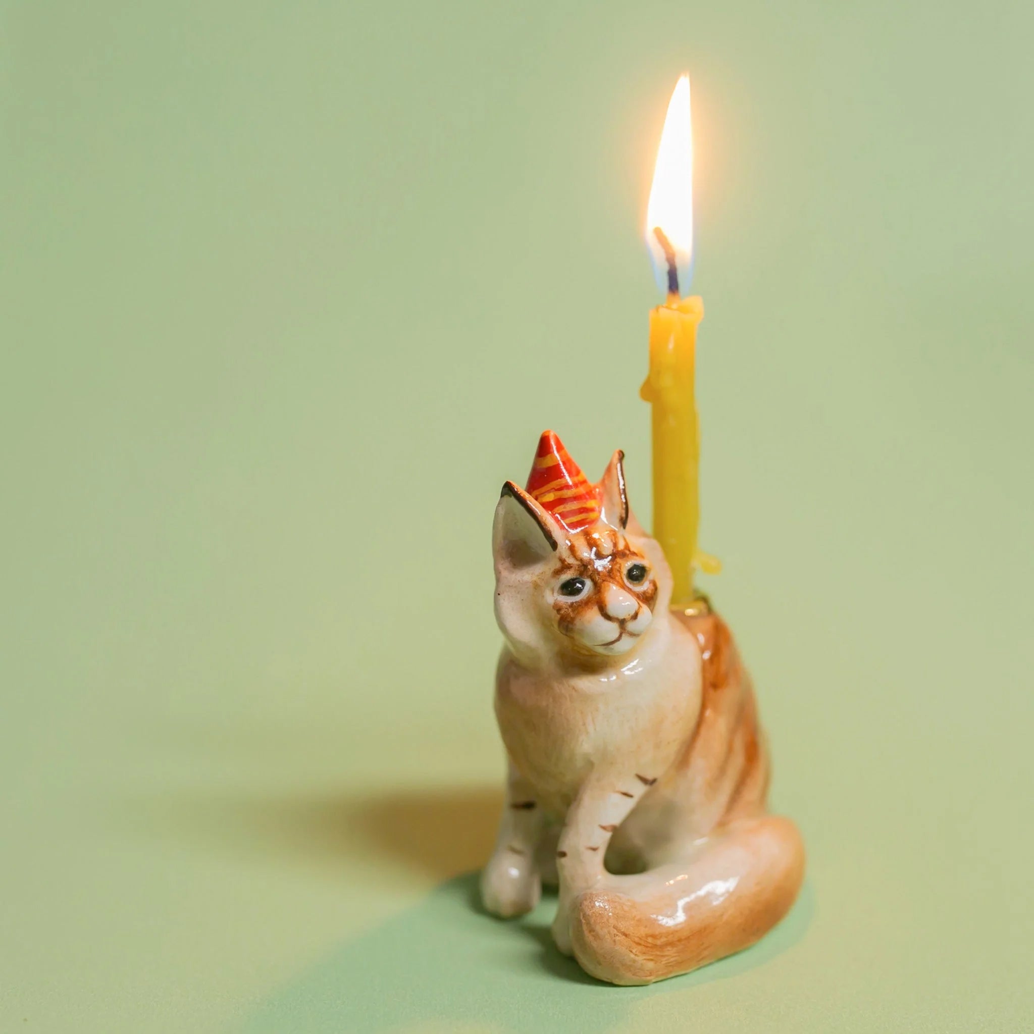 Décoration de gâteau chat Maine Coon