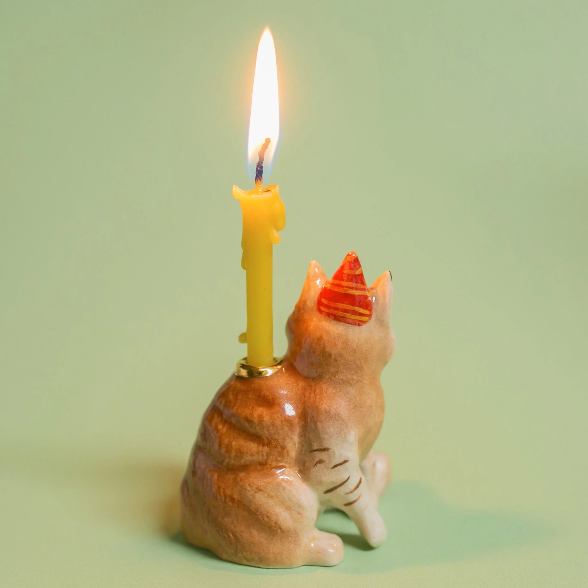 Décoration de gâteau chat Maine Coon