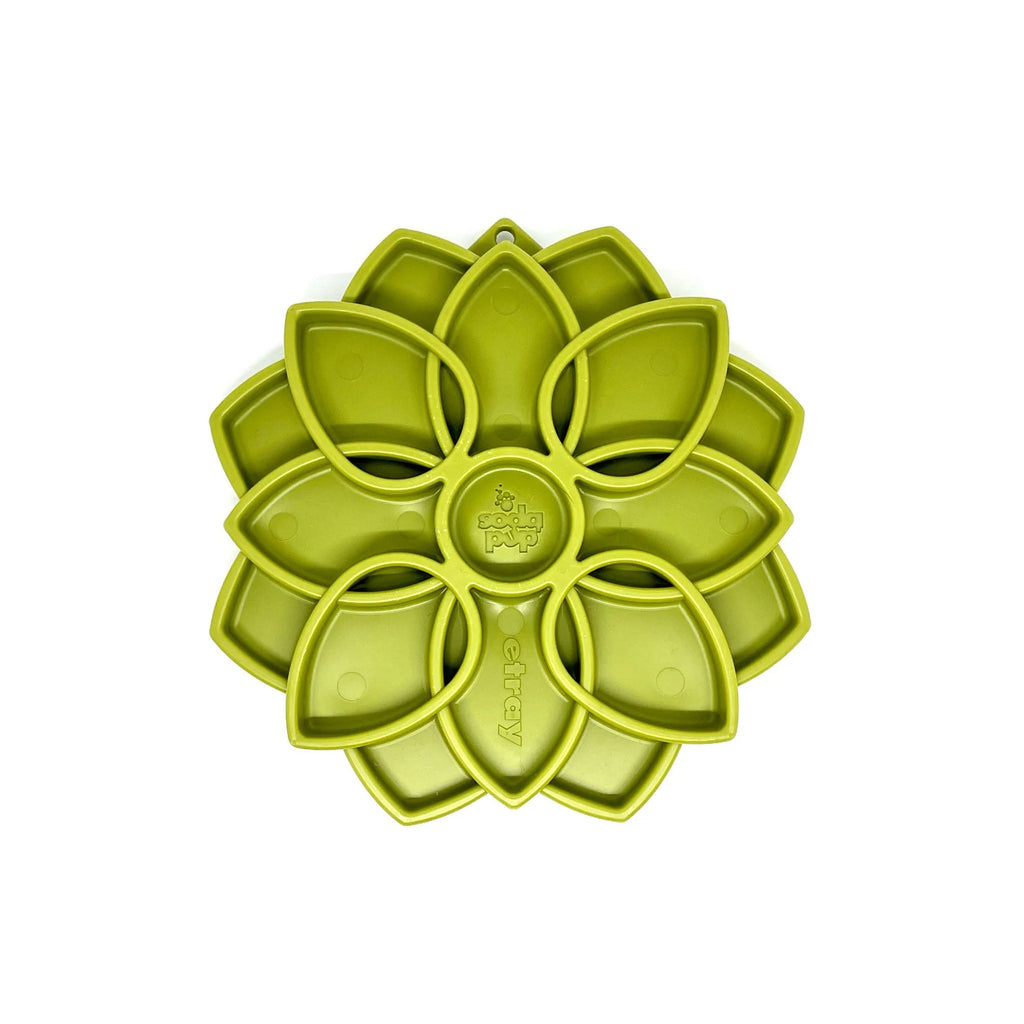 Plateau Mandala vert pour chiens, idéal pour manger lentement.