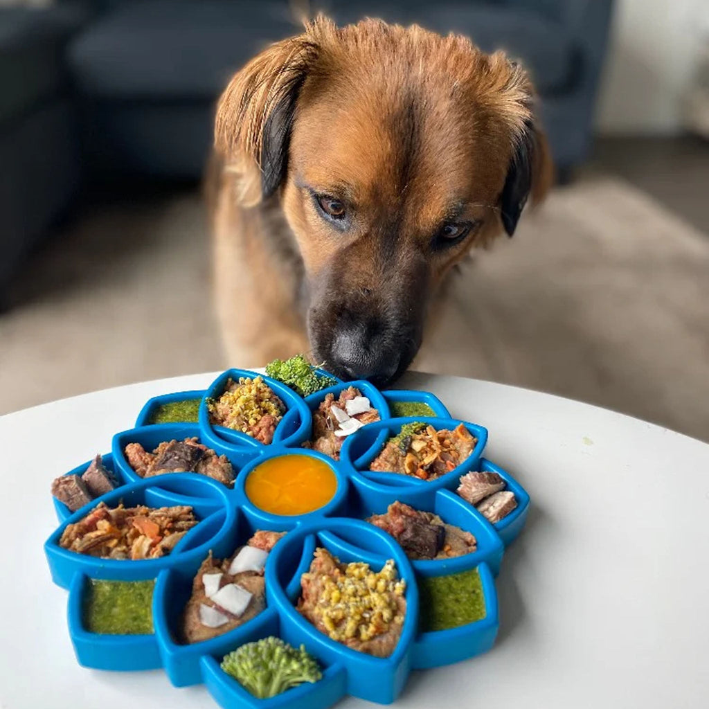 Plateau Mandala bleu pour chiens, idéal pour manger lentement.