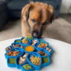 Plateau Mandala bleu pour chiens, idéal pour manger lentement.