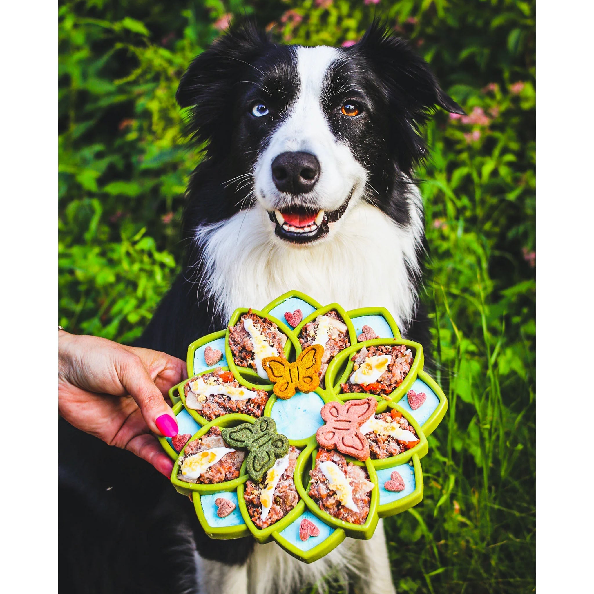 Plateau Mandala vert pour chiens, idéal pour manger lentement.