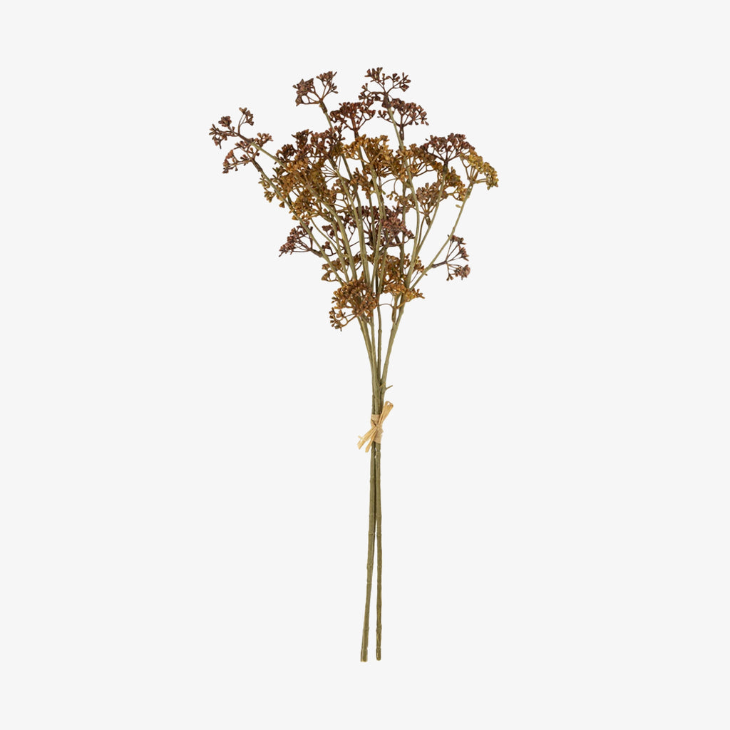 Bouquet d'herbes des prés couleur roux