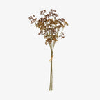 Bouquet d'herbes des prés couleur roux