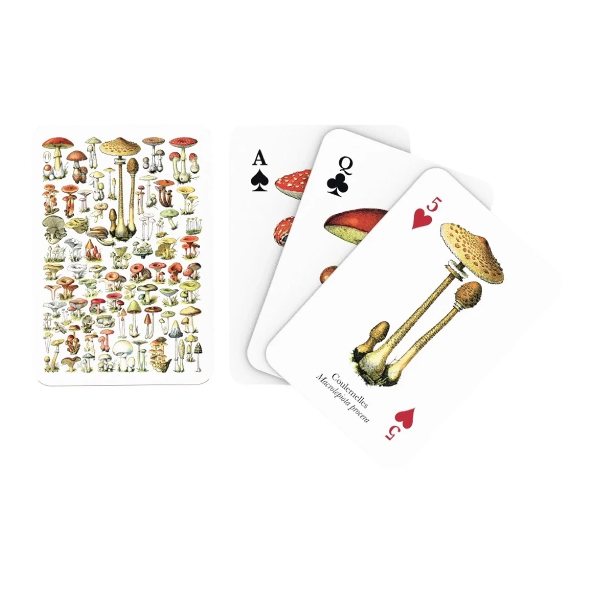 Cartes à jouer Champignon