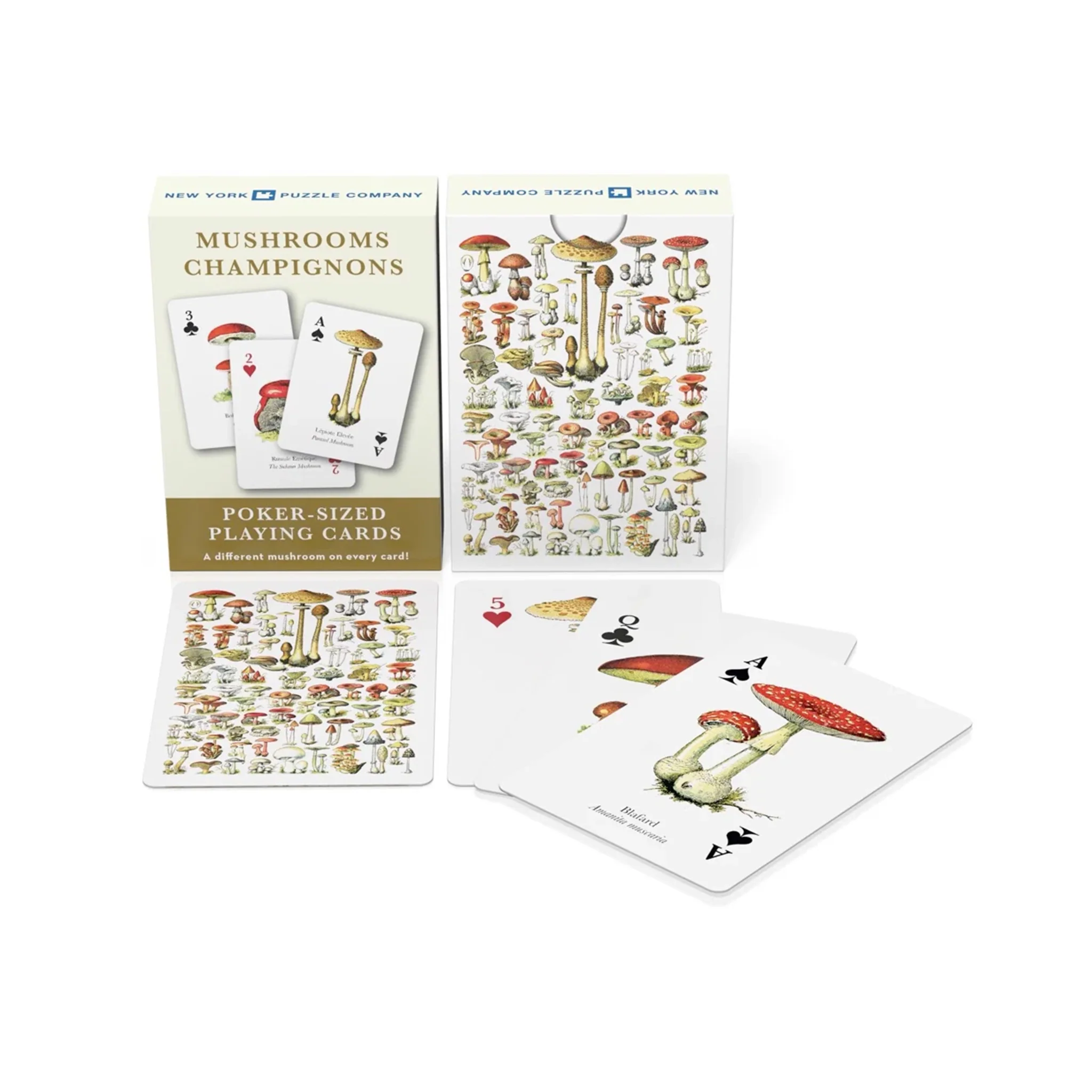 Cartes à jouer Champignon