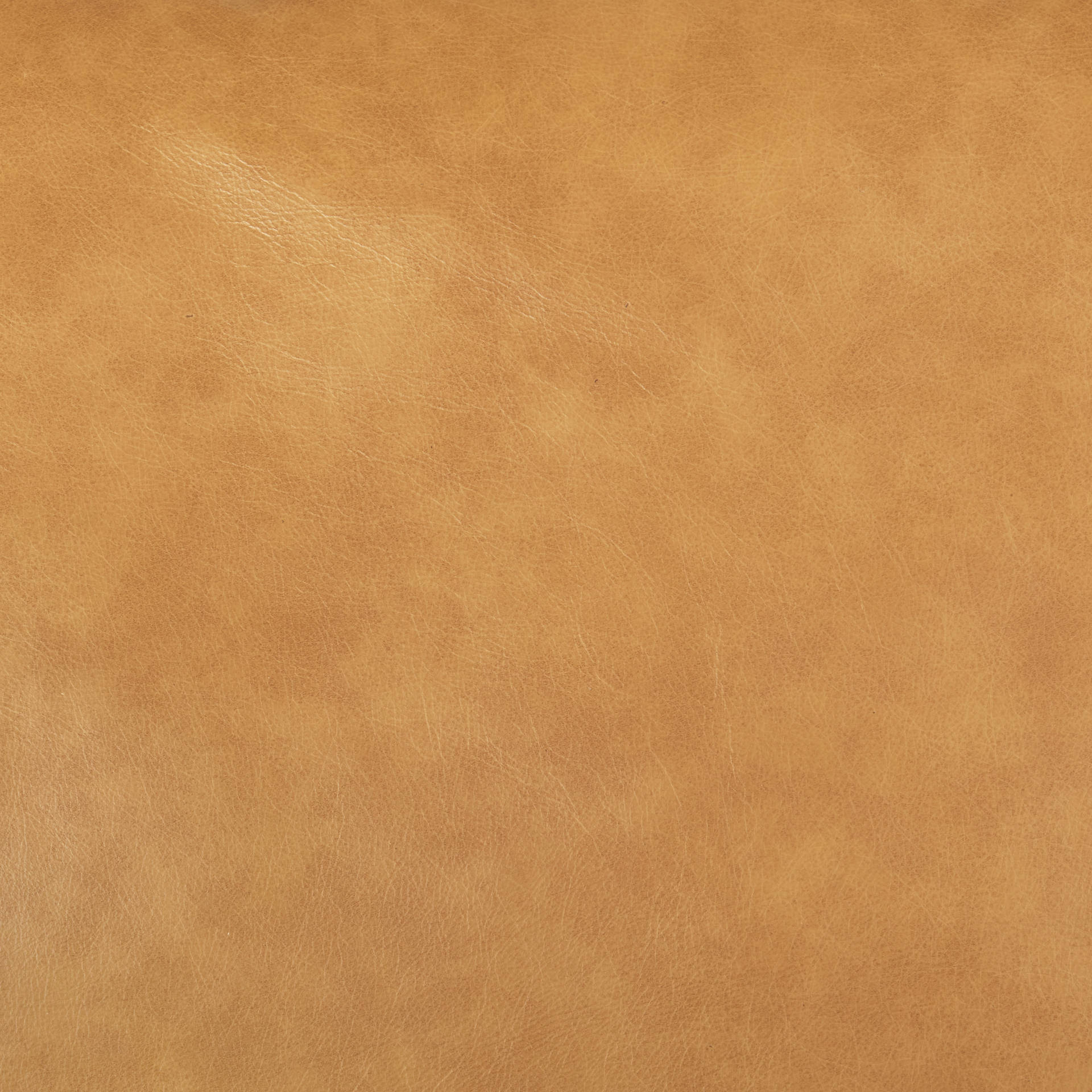 Canapé en cuir Oscar couleur fauve