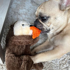 Jouet pour chien en corde en forme de loutre