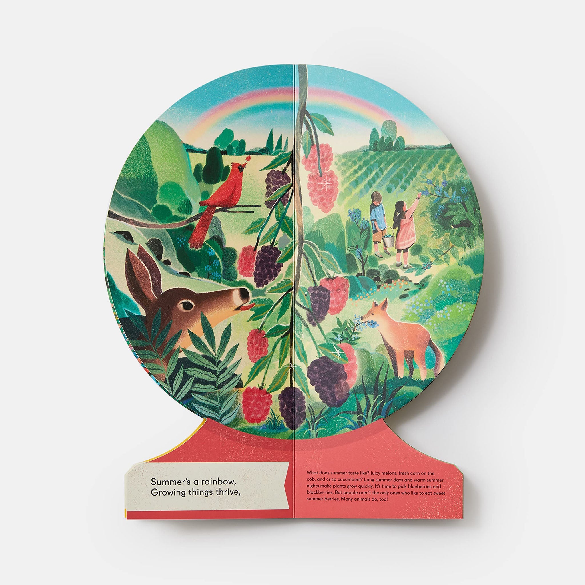 Nos saisons : le monde en hiver, au printemps, en été et en automne 