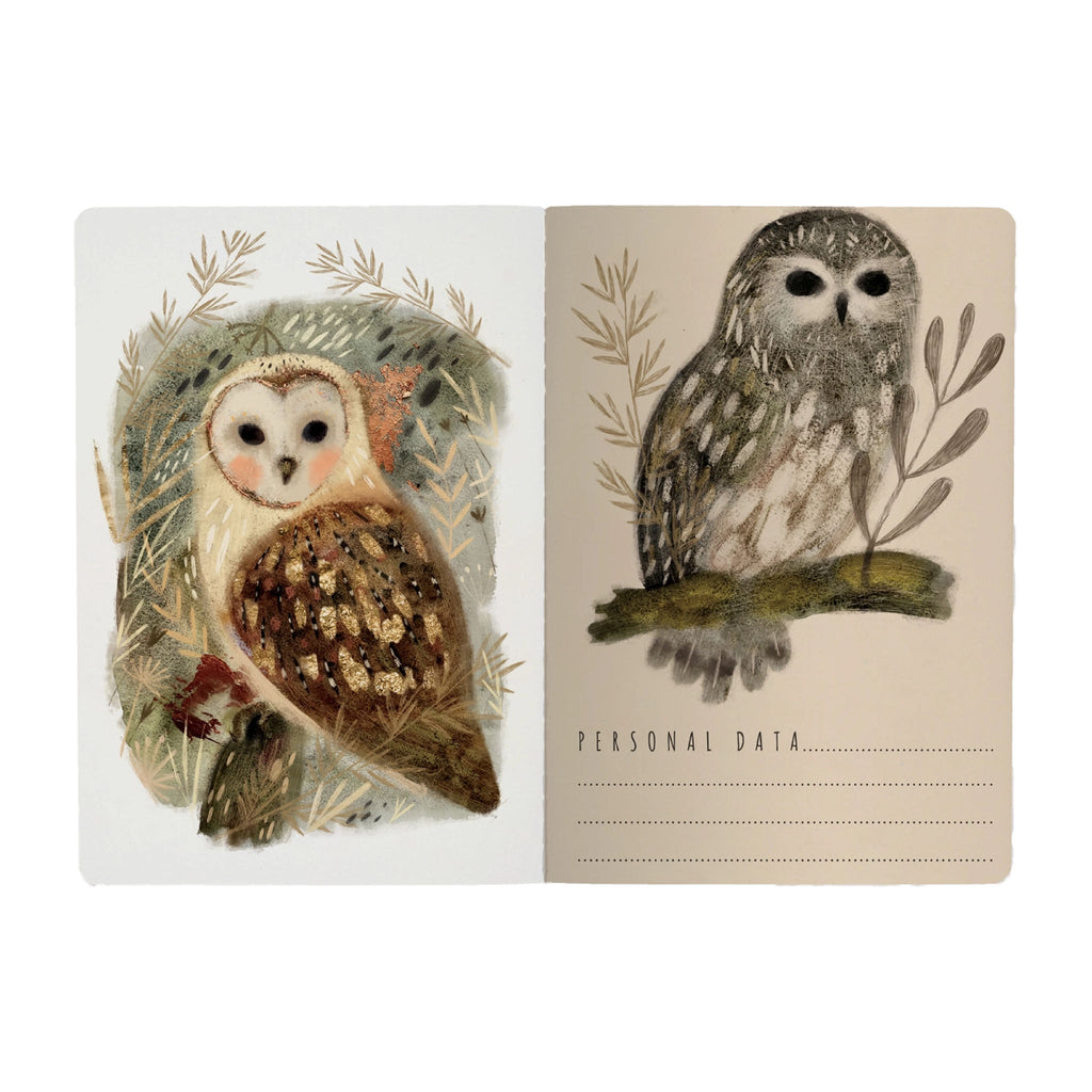 Carnet de notes des hiboux