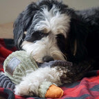 Canard en peluche couineur