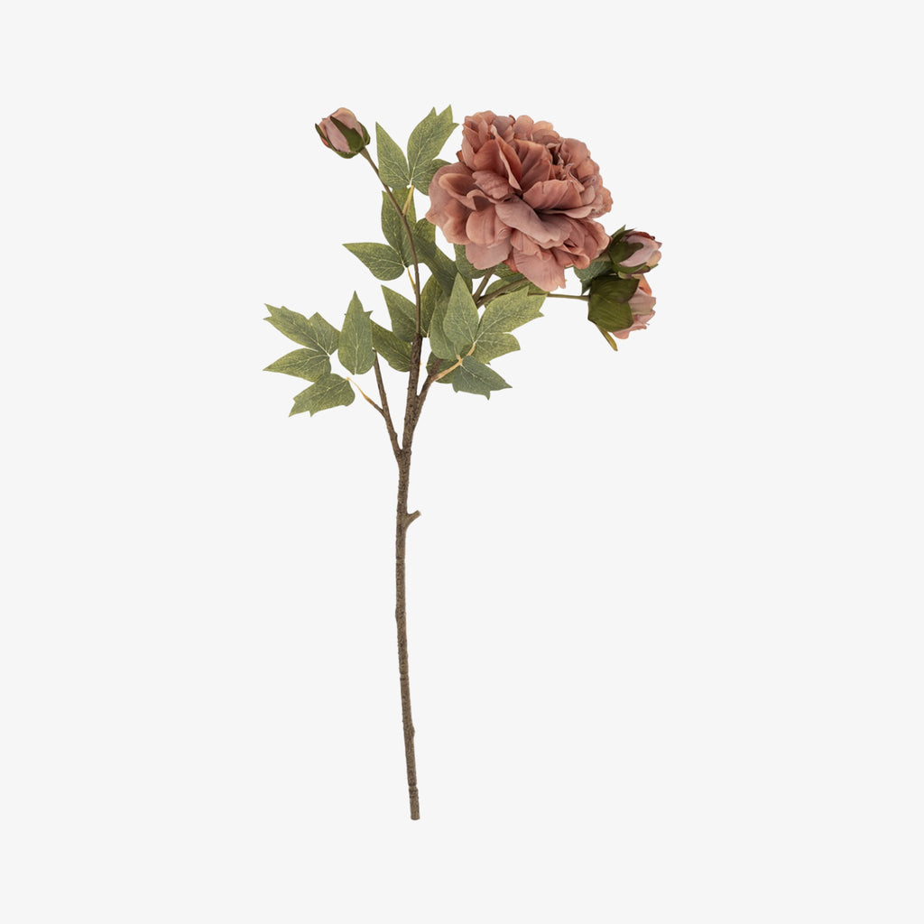 Tige florale de pivoine rose poudré