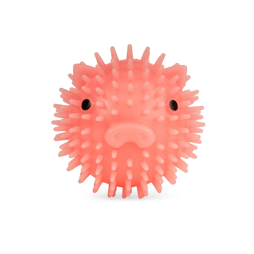 Balle de chien cochon 