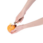 Couteau à rainurer avec manche en noyer