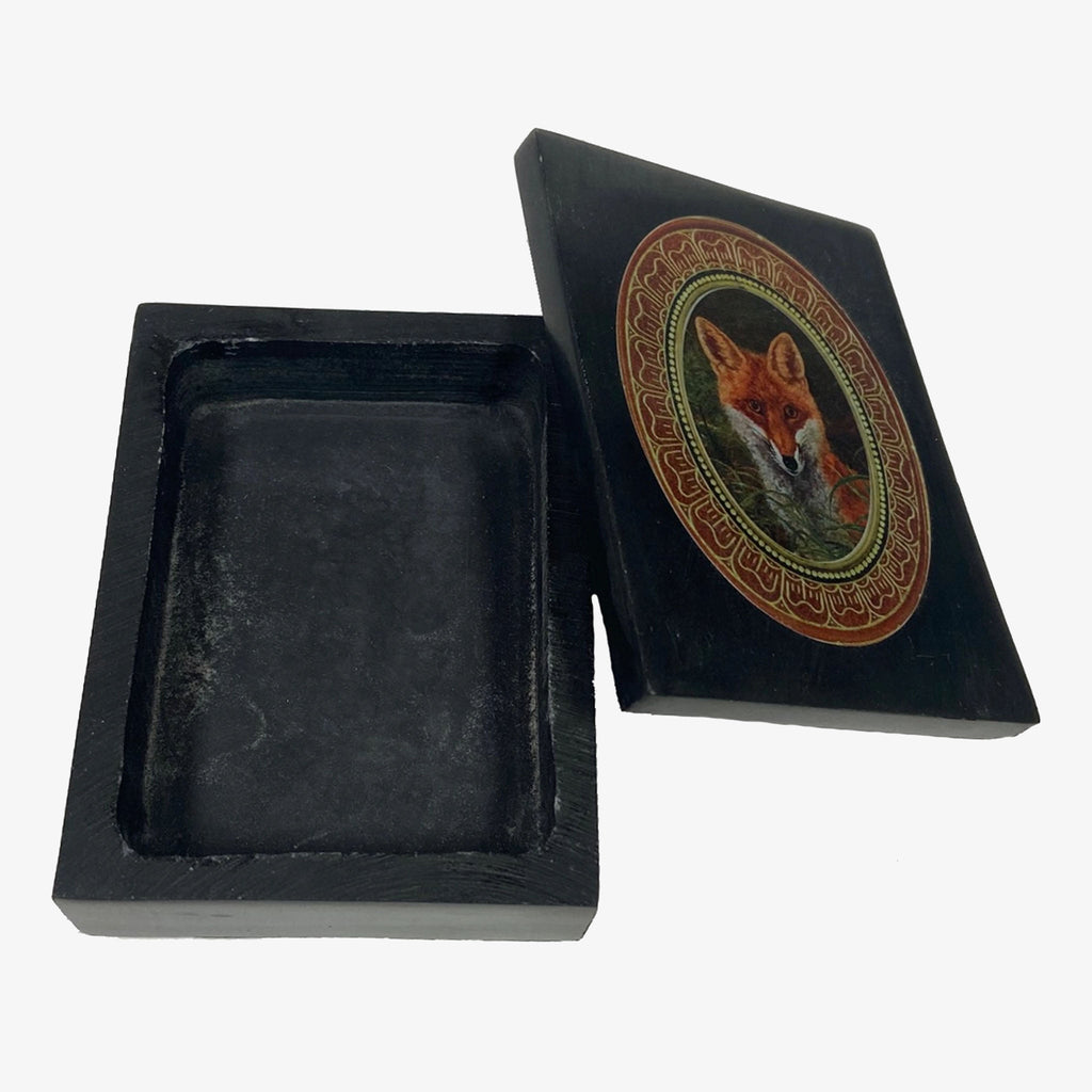 Renard roux dans la boîte à herbes