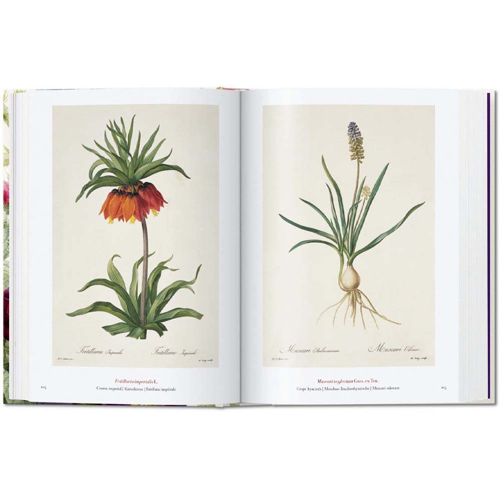 Redouté. Le Livre des Fleurs