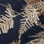 Fougère artificielle des bois Abigail Ahern