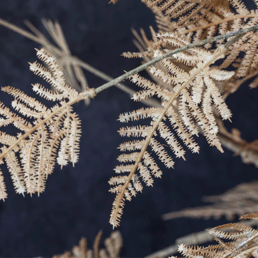 Fougère artificielle des bois Abigail Ahern