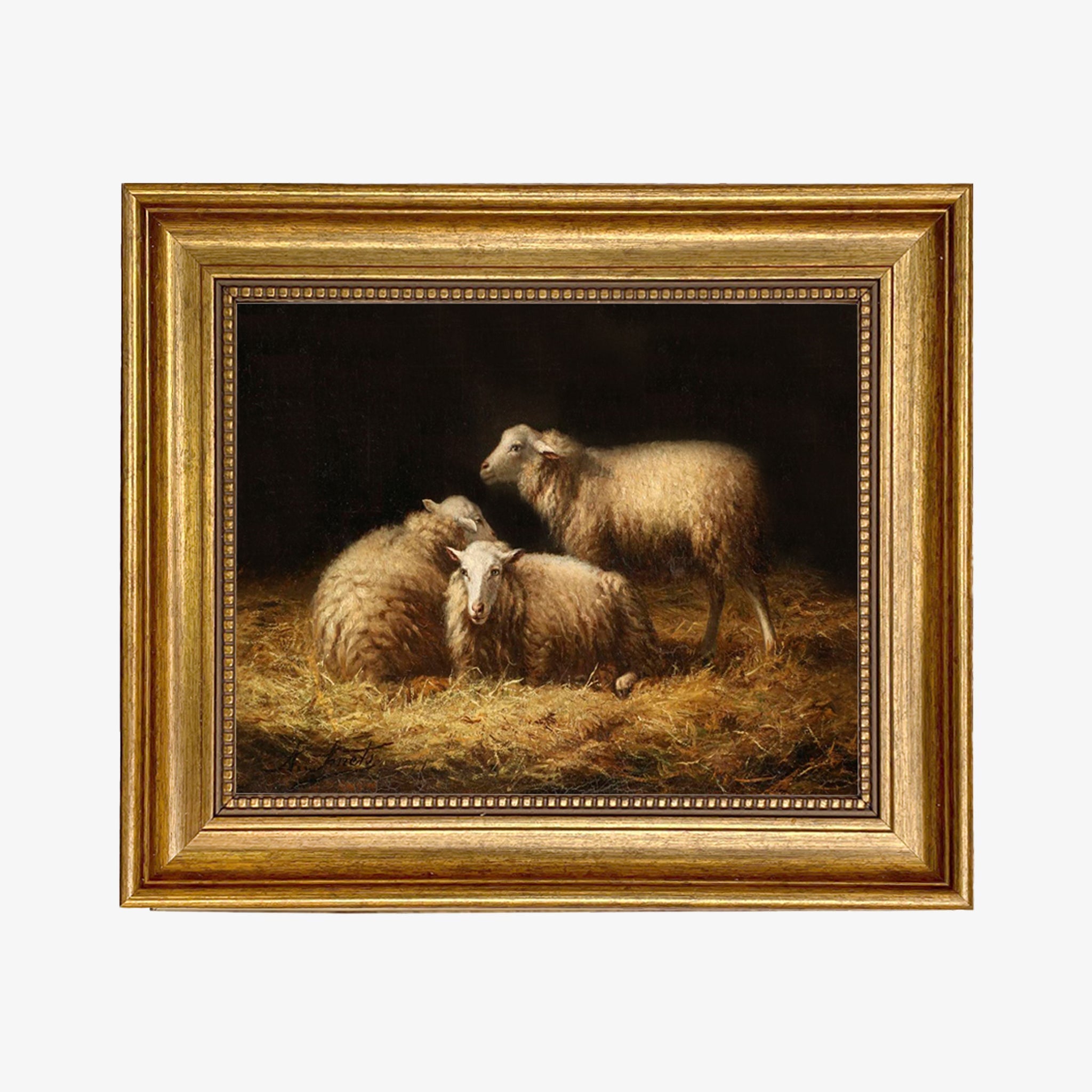 Moutons dans la grange, œuvre d'art vintage