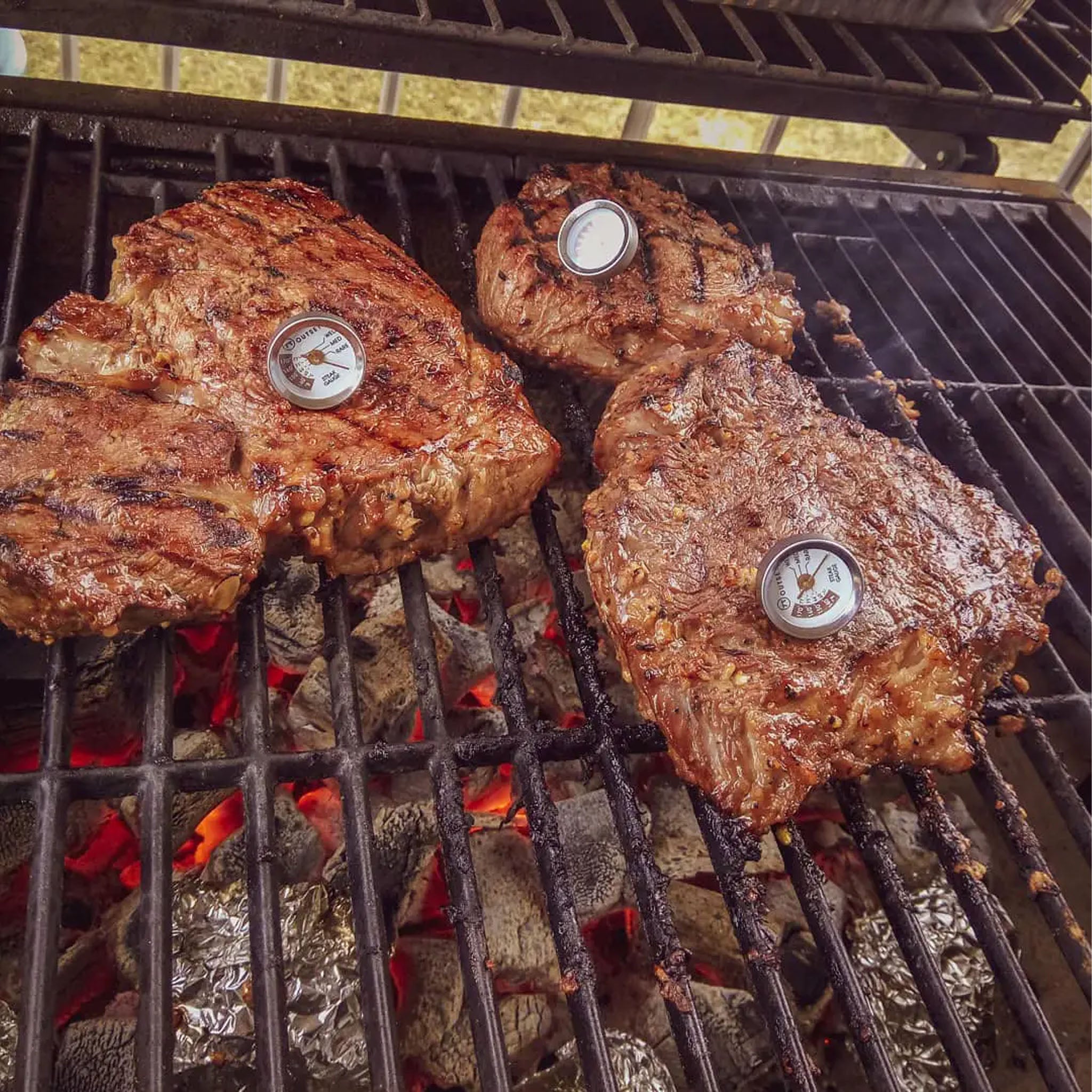 Thermomètres à steak Outset, lot de 4