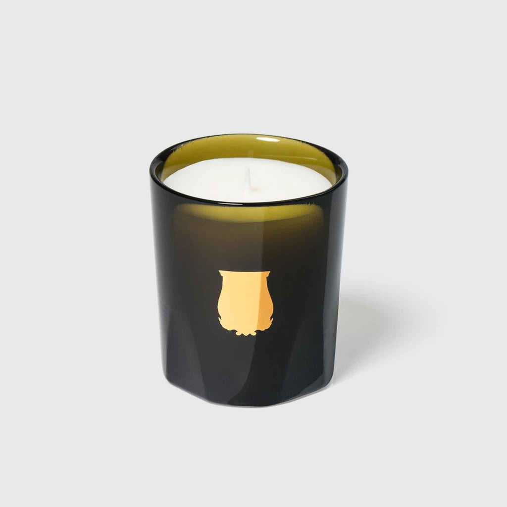Bougie Trudon Ernesto Cuir et Tabac