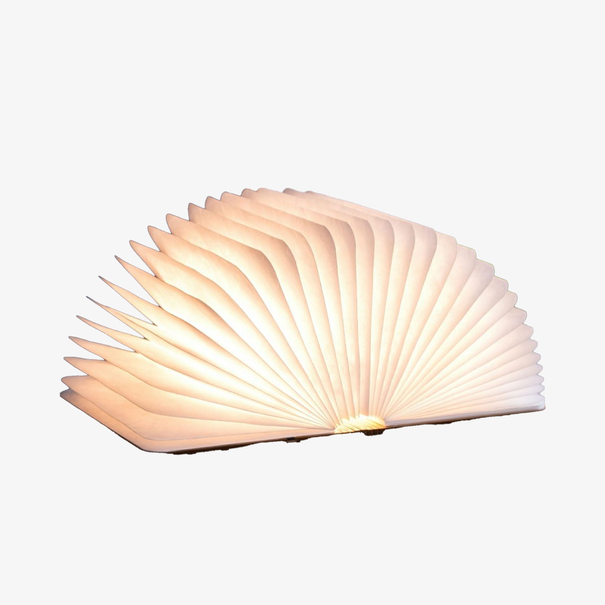 Grande lampe de lecture intelligente en érable