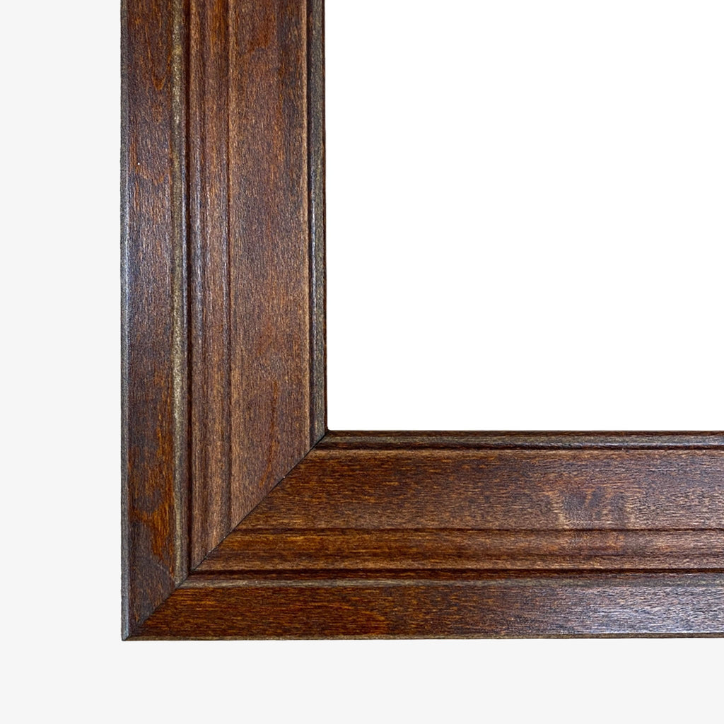 Illustration vintage de cerf à queue blanche