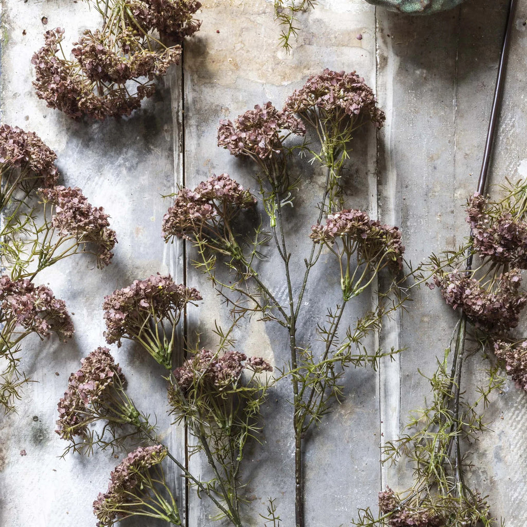 Fleur d'aneth artificielle Abigail Ahern