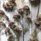 Fleur d'aneth artificielle Abigail Ahern