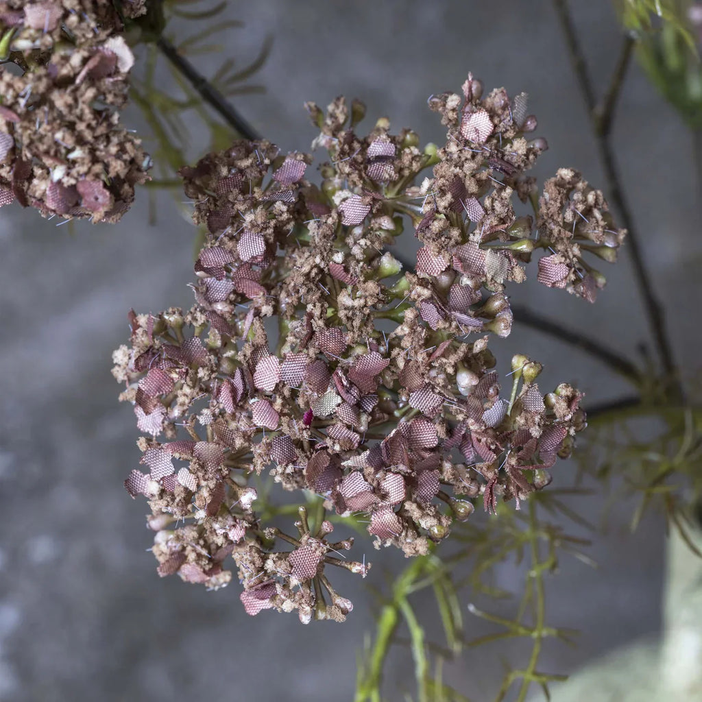 Fleur d'aneth artificielle Abigail Ahern