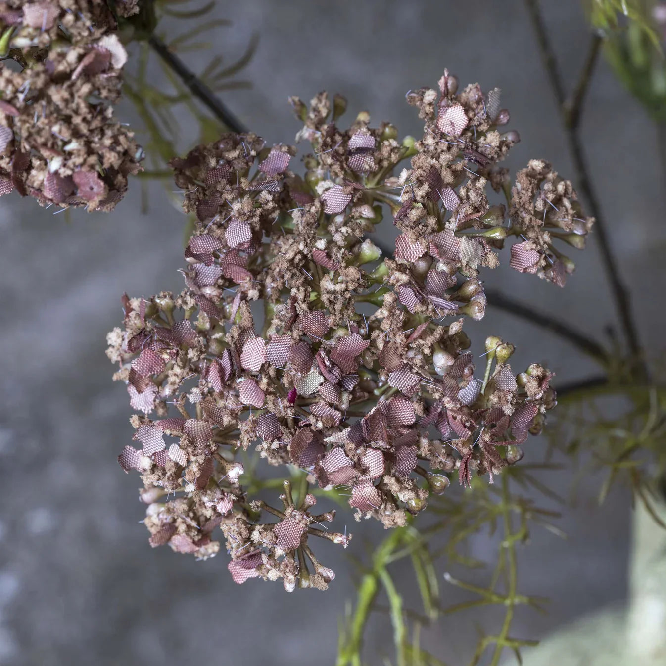 Fleur d'aneth artificielle Abigail Ahern