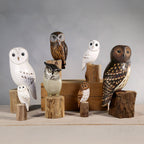 Chouette effraie en bois sculpté à la main